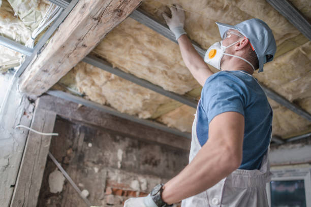 Best Home Insulation Services  in Sierra Ridge, CO