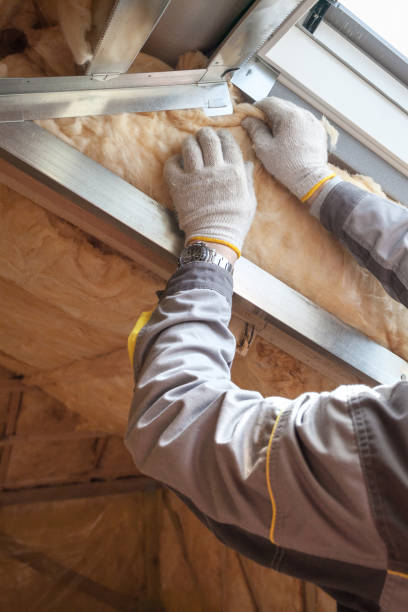 Best Insulation Repair Services  in Sierra Ridge, CO