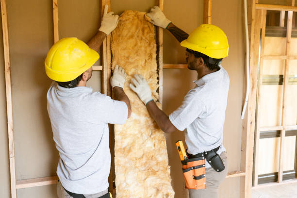 Best Residential Insulation Services  in Sierra Ridge, CO