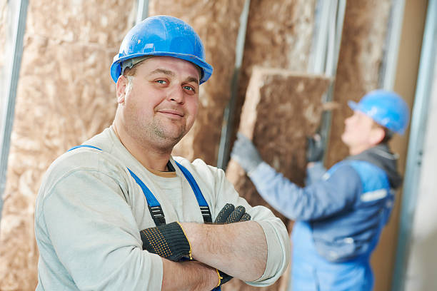 Best Attic Insulation Installation  in Sierra Ridge, CO